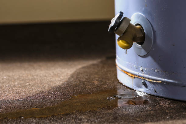 Best 24/7 water damage repair  in USA